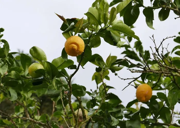 Espaco Origem Venkovský dům *